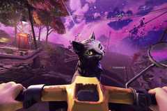 Cat on a scooter in No Ghosts and the Grand.